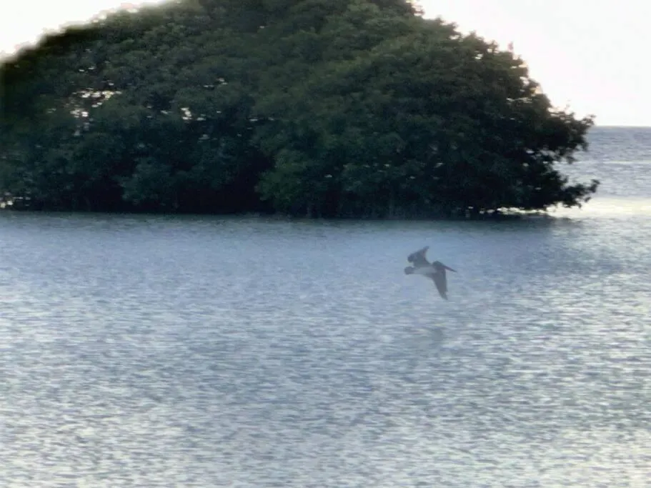 Playas Del Caribe Apartment Cabo Rojo 0*,