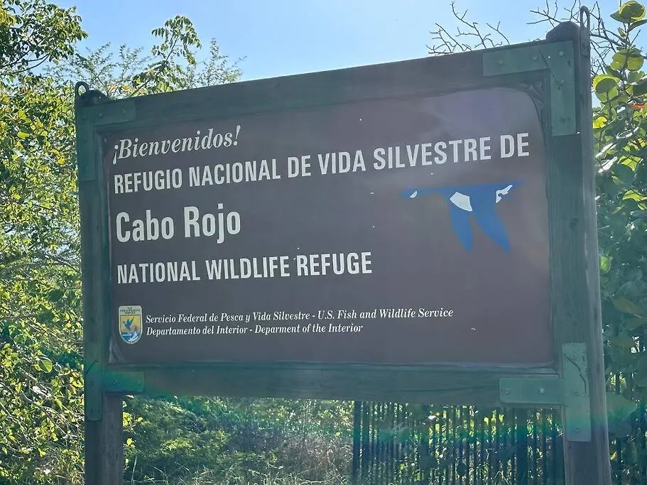 Playas Del Caribe Apartment Cabo Rojo