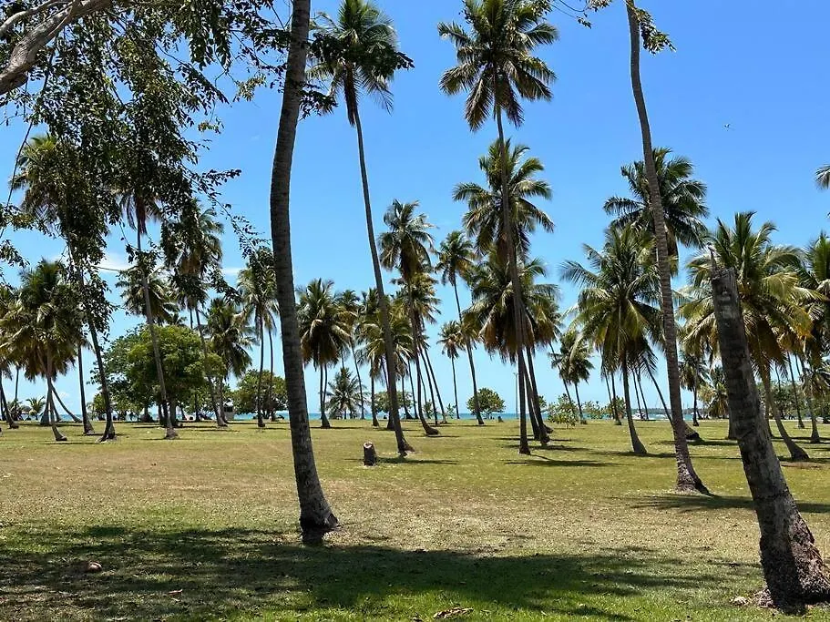 Playas Del Caribe Apartment Cabo Rojo